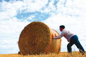 IoT Prozessoptimierung und Big Data