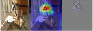 Heatmaps zeigen, anhand welcher Mermlae ein neuronales Netz einen Hund erkennt