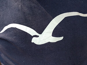 Machine Learning slashTalk Hollister Logo
