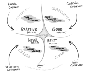 cynefin-framework