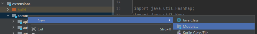 Zuerst wird ein Modul im Pfad „../extensions/common/“ angelegt.