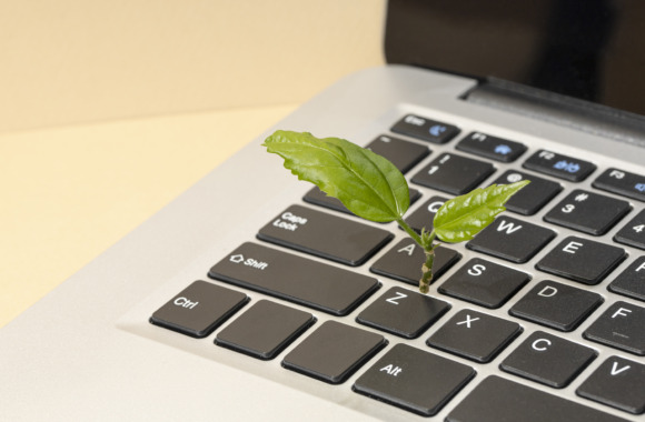 Pflanze, die aus Laptop Tastatur wächst, um so Ressourceneffizientes Coden zu symbolisieren